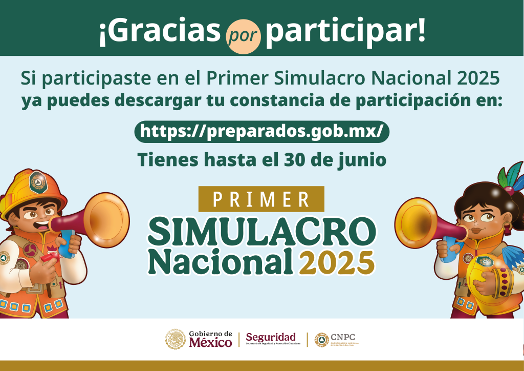 Simulacro